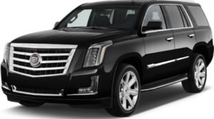 Reliable and Professional Transportation in Boston